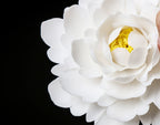 Porte-Encens en Céramique – Encensoir Minimaliste Lotus pour Méditation & Relaxation