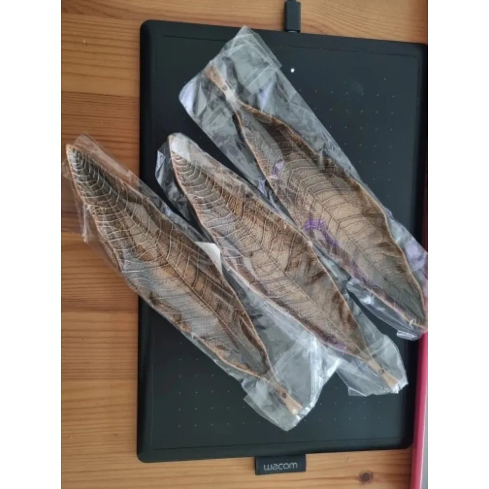 Porte-Encens en Métal Feuille – Support Bâtonnets d’Encens Zen