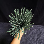 Bâtonnets d'encens de sauge blanche - Lot de 100 - Yoga - Méditation